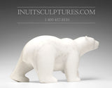 16" THE Perfect Polar Bear by Tuk Nuna