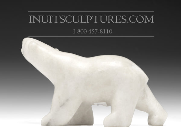 5" Walking Bear Etulu Salamonie