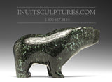 6" Dark Turquoise Walking Bear Allan Naonoonai